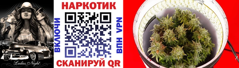 Где купить Дрезна АМФЕТАМИН  Псилоцибиновые грибы  COCAIN  Гашиш  МАРИХУАНА  A PVP  Меф 