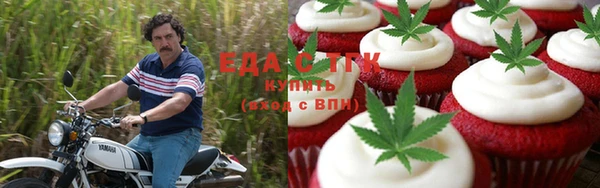 хмурый Гусев