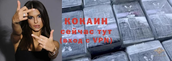хмурый Гусев