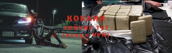 хмурый Гусев
