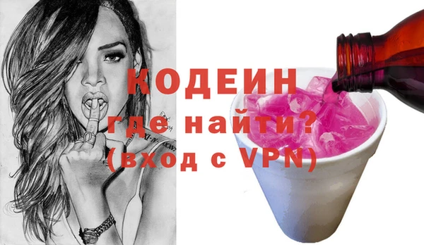 дживик Снежногорск