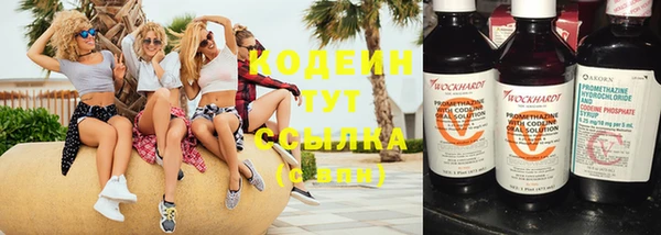 apvp Гусь-Хрустальный