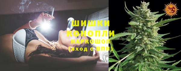 хмурый Гусев
