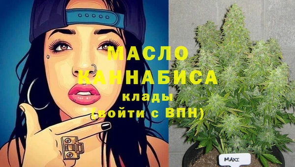 apvp Гусь-Хрустальный