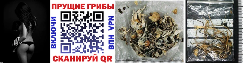 Галлюциногенные грибы прущие грибы  Дрезна 